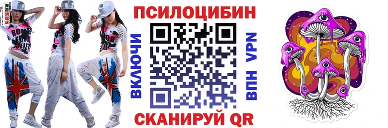 купить  цена  Узловая  Псилоцибиновые грибы MAGIC MUSHROOMS 